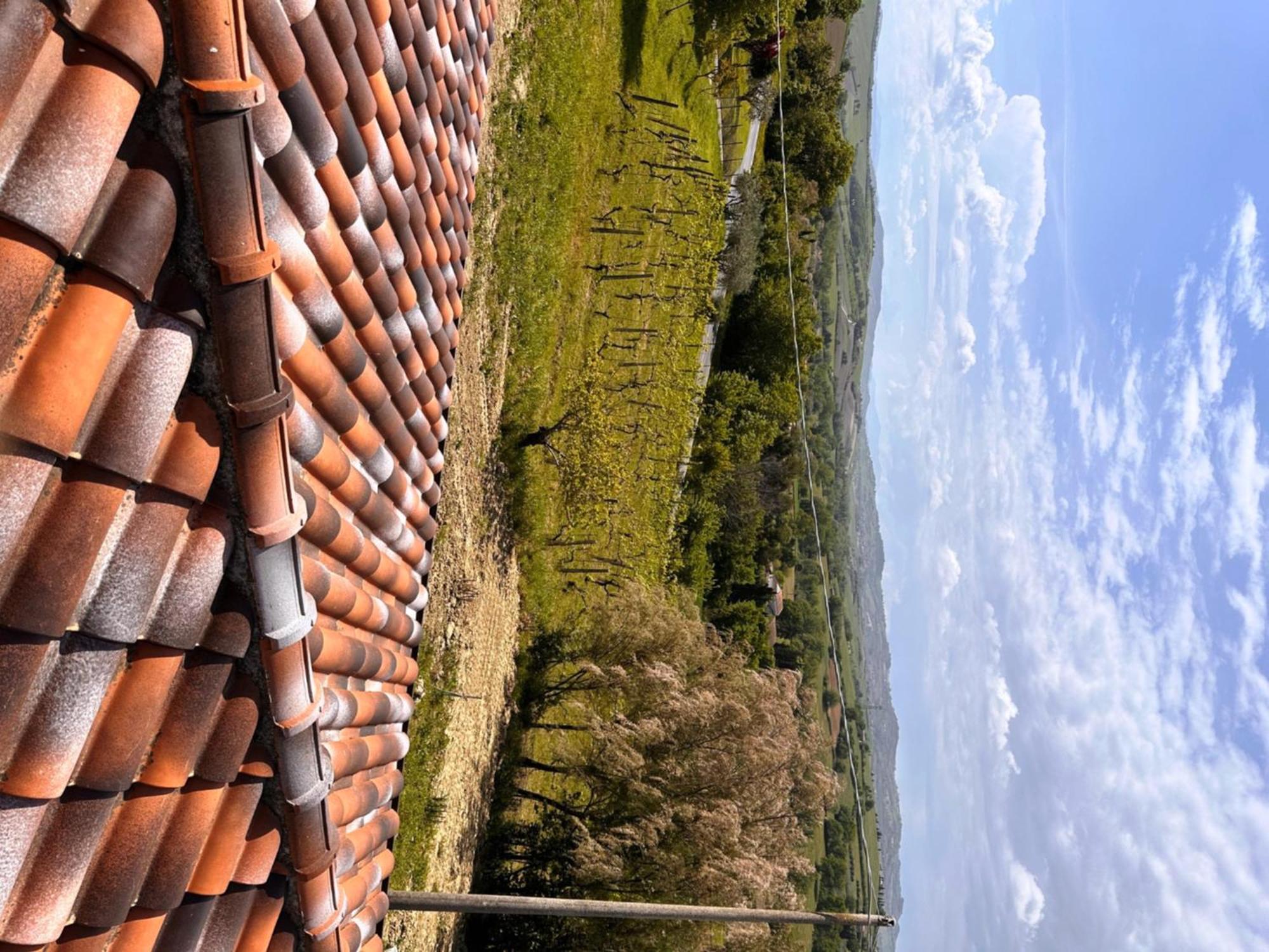 Bed and Breakfast La Sosta Di Guido A Tavullia Exterior foto